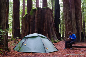 Zeltplatz im Humboldt Redwood Nationalpark
